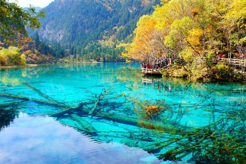 國(guó)內(nèi)旅游景點(diǎn)大全排行榜，旅游景點(diǎn)有哪些好玩的地方