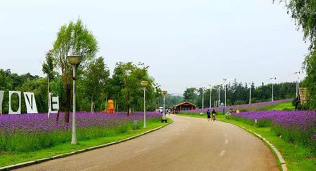 南陽十大最好玩的景點(diǎn)，南陽旅游景點(diǎn)大全簡(jiǎn)介