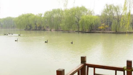 阜陽十大好玩的地方，阜陽有什么好玩的地方景點
